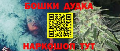 ПСИЛОЦИБИНОВЫЕ ГРИБЫ Новозыбков